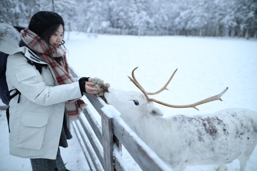 Rovaniemi: Santa Claus Village Tour Huskies & Reindeer Visit - Who this tour fits best