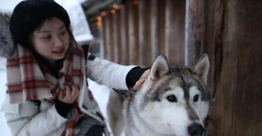Rovaniemi: Santa Claus Village Tour Huskies & Reindeer Visit - Santa Claus Village, meet Santa, and that Arctic Circle moment