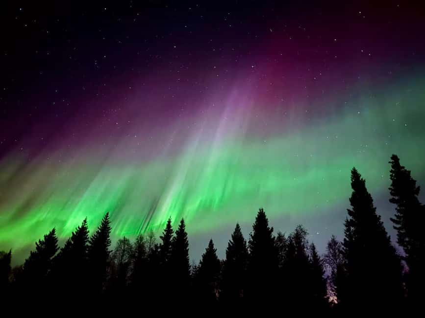 Rovaniemi: Santa's Reindeer and Husky Safari with Aurora BBQ - Northern Lights Chase from 20:00 to 23:30, With Two Spots