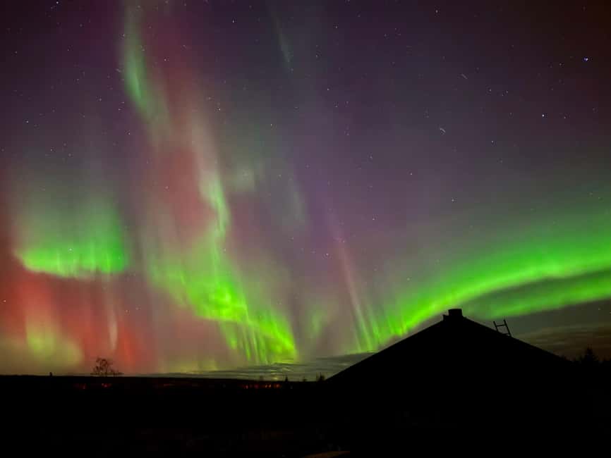 Rovaniemi: Santa's Reindeer and Husky Safari with Aurora BBQ - Should You Book This Santa’s Reindeer and Husky Safari with Aurora BBQ?