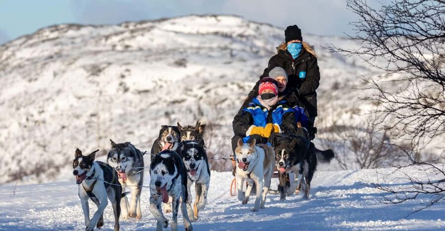 Rovaniemi: Santa's Village, Husky, & Reindeer Sled Ride - How skip-the-line can help, and when it may not