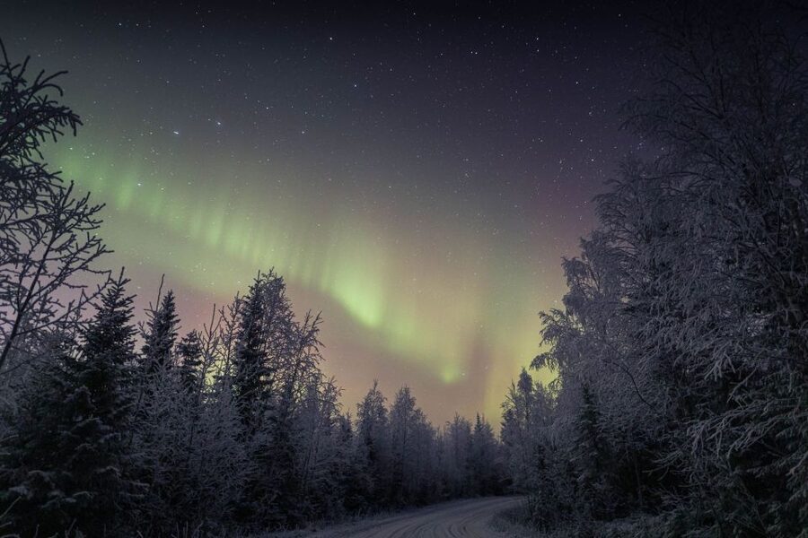 Rovaniemi: Sauna & Ice Swimming Tour with Dinner and Aurora - Should You Book This Sauna and Aurora Tour?