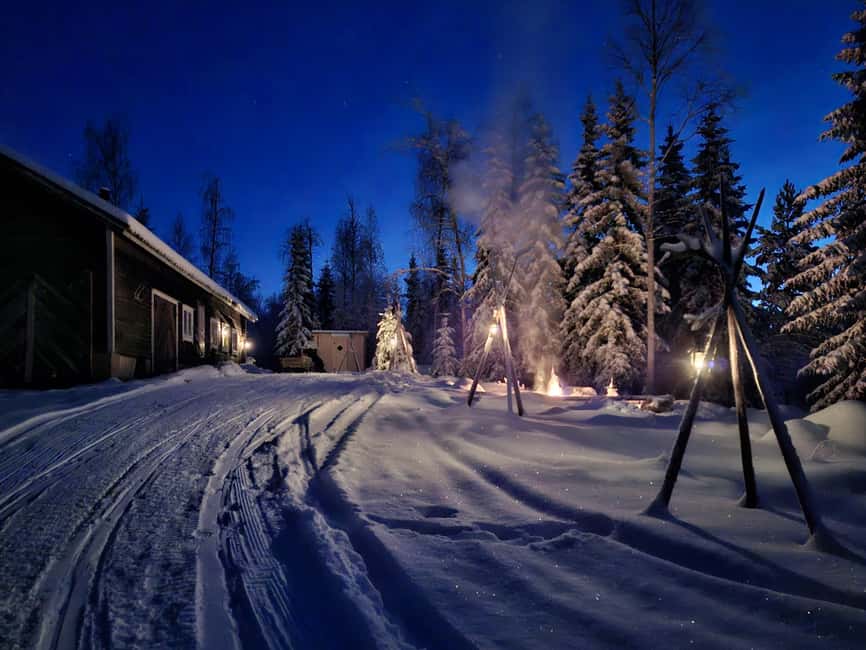 Rovaniemi:Self-drive Husky safari with a Reindeer Farm visit - Why this husky and reindeer combo feels more local than touristy