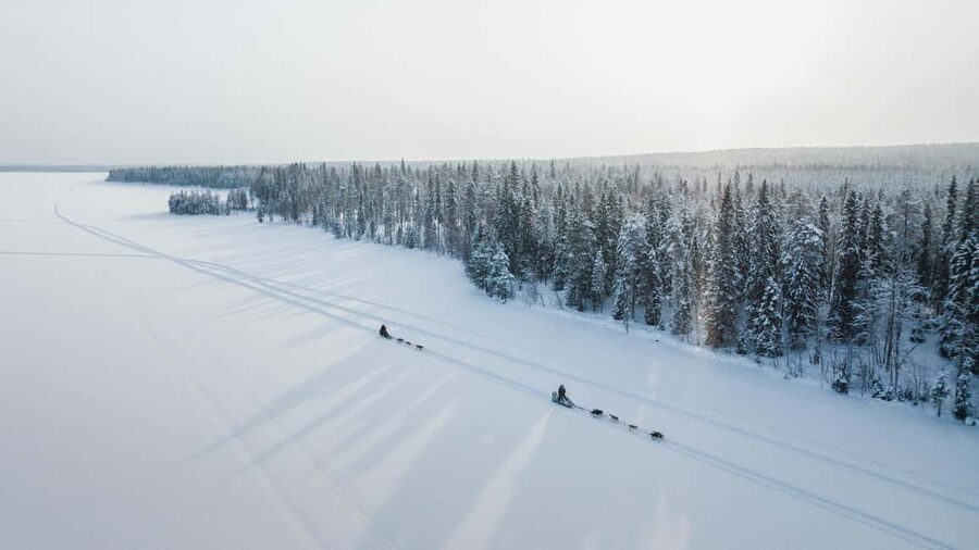 Rovaniemi: Self-Driving Husky Tour 7-kilometers - Key things to know before you go