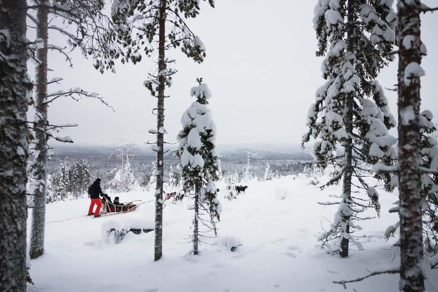 Rovaniemi: Self-Driving Husky Tour 7-kilometers - The husky cuddle hour: what happens after you ride