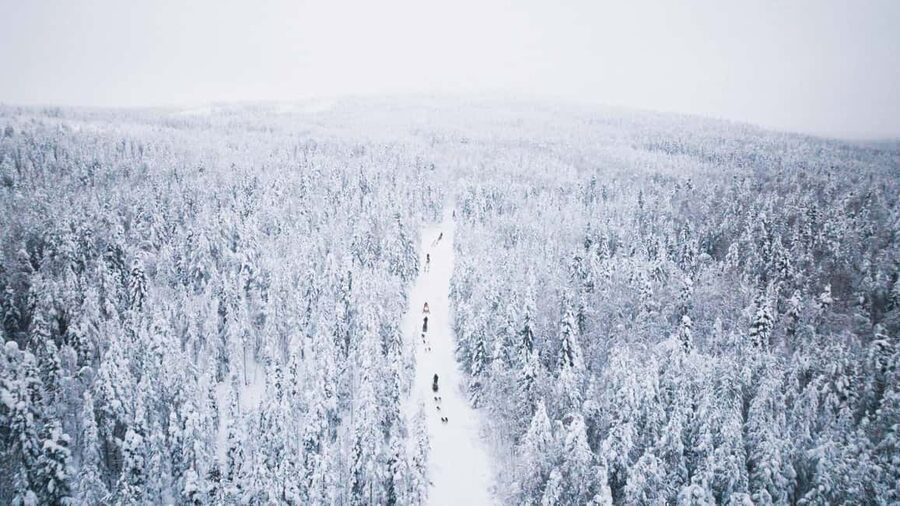 Rovaniemi: Self-Driving Husky Tour 7-kilometers - Winter clothes, warm drinks, and the small comfort wins