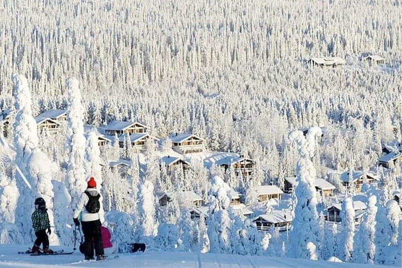 Rovaniemi: Slalom and Alpine Skiing - Who this tour is best for