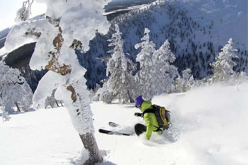 Rovaniemi: Slalom and Alpine Skiing - Price and value: is $293 per person a good deal?
