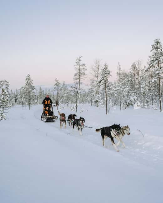 Rovaniemi: Small group Adults-Only 12-18km Husky Tour - Where the tour starts: Rovaniemi pickup that keeps you on schedule