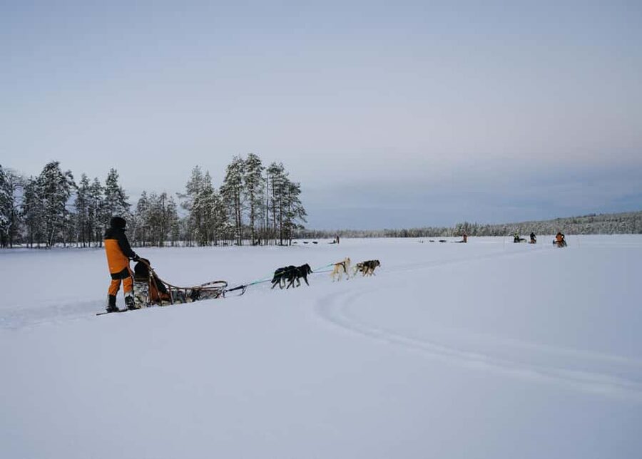 Rovaniemi: Small group Adults-Only 12-18km Husky Tour - Arctic gear and your first instructions: dress for warmth, not just looks