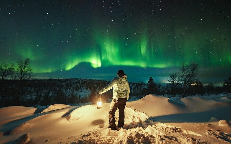 Rovaniemi: Small Group Aurora Hunt-full money back guarantee - Key Highlights I’d Prioritize