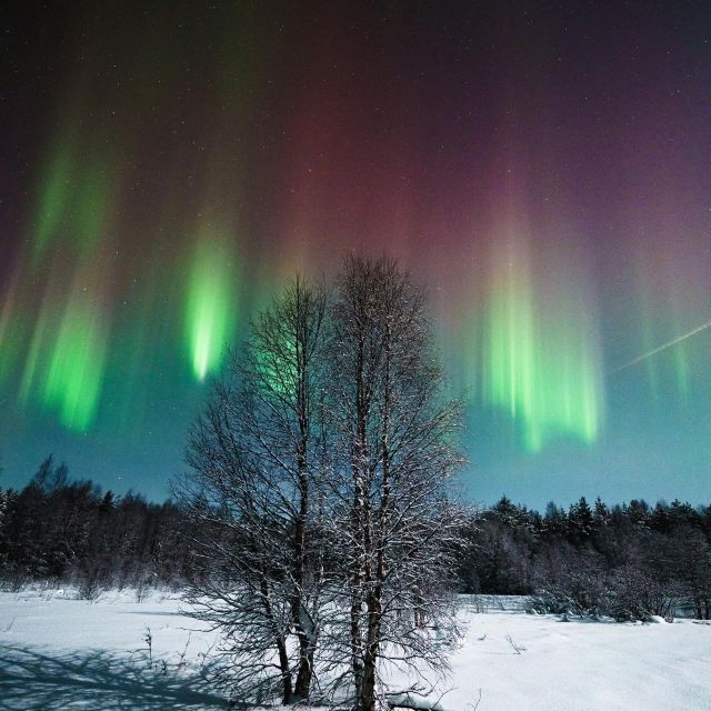 Rovaniemi: Small Group Aurora Hunt-full money back guarantee - Money-Back Guarantee, Rescheduling, and How Assurance Works Here