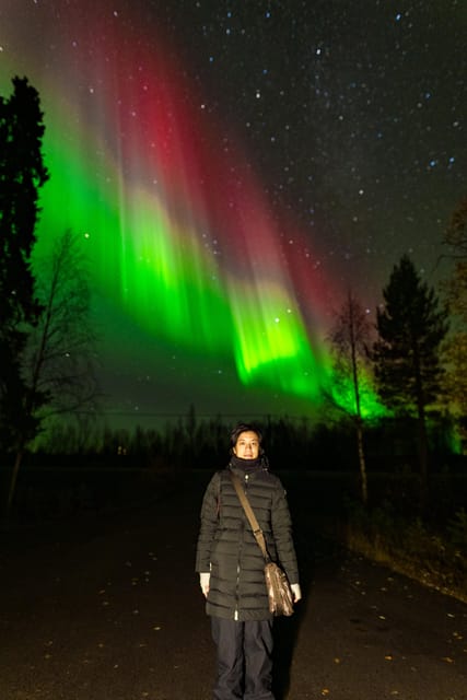 Rovaniemi: Small Group Northern Lights Guaranteed Sightings - The Guide’s Tracking Work, and What You Benefit From