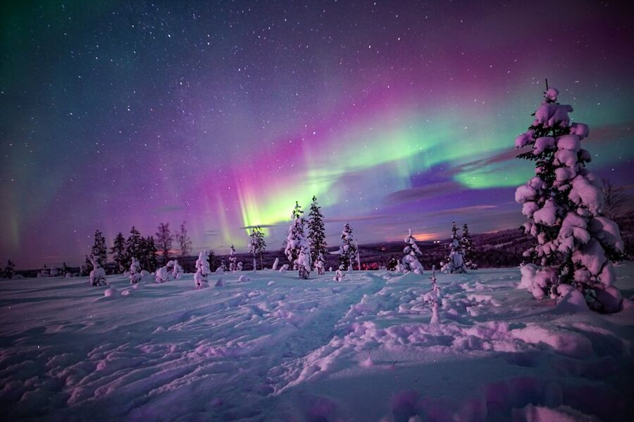 Rovaniemi: Small-Group Northern Lights Wilderness Tour - Price and value: is $136 worth it for this aurora setup?