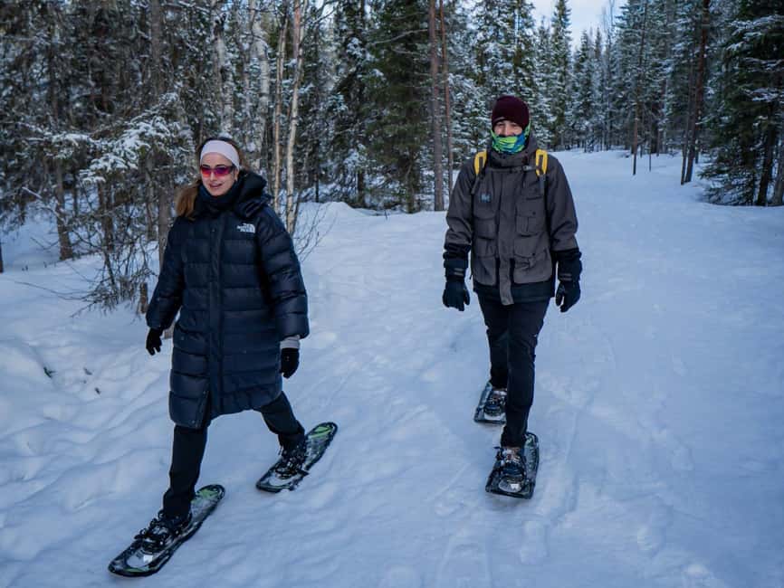 Rovaniemi: Small-Group Snowshoe Tour at Vikaköngäs & BBQ - Snowshoeing basics, without the intimidation