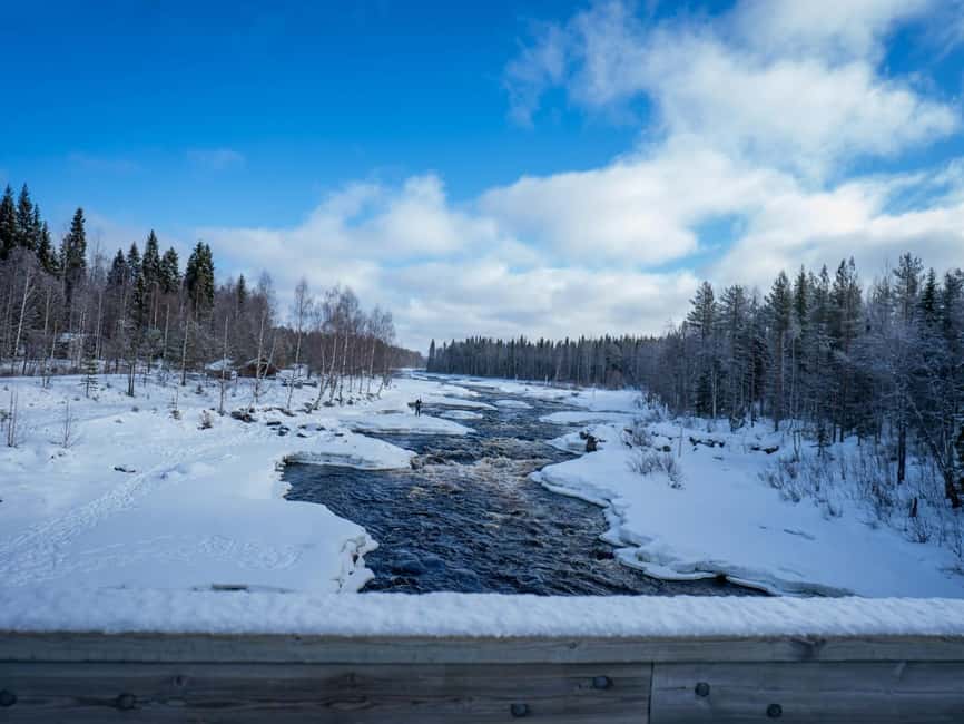 Rovaniemi: Small-Group Snowshoe Tour at Vikaköngäs & BBQ - Group size and guide style: what you are buying