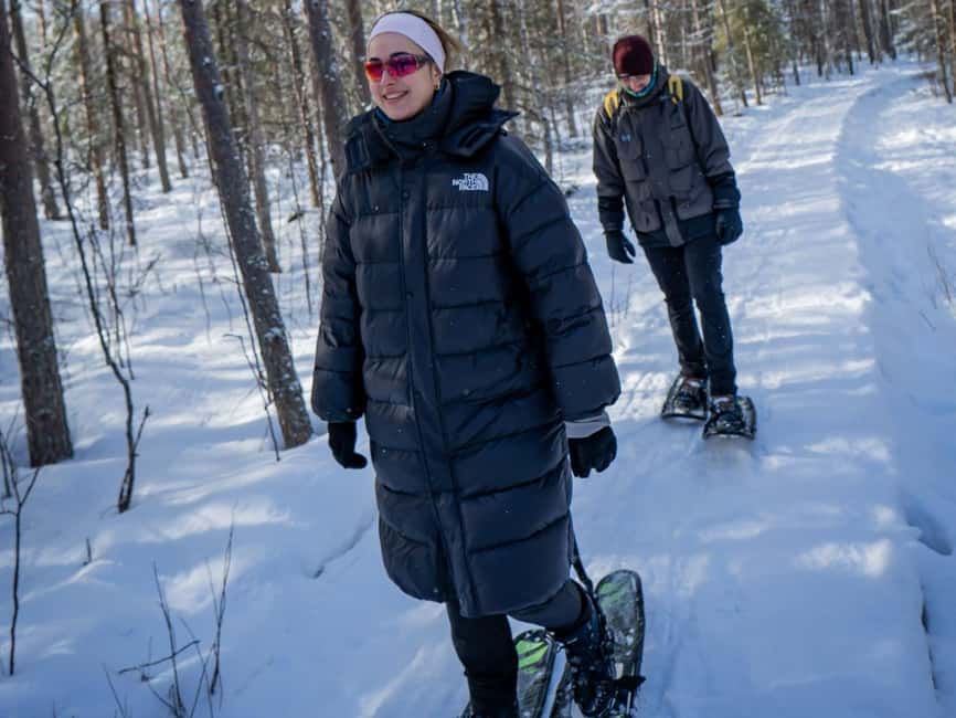 Rovaniemi: Small-Group Snowshoe Tour at Vikaköngäs & BBQ - Value check: why $140 can make sense here