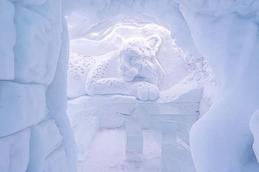 Rovaniemi: Snowman World Entry Ticket in Santa Claus Village - What to Bring, and How to Not Turn the Cold Into the Main Event