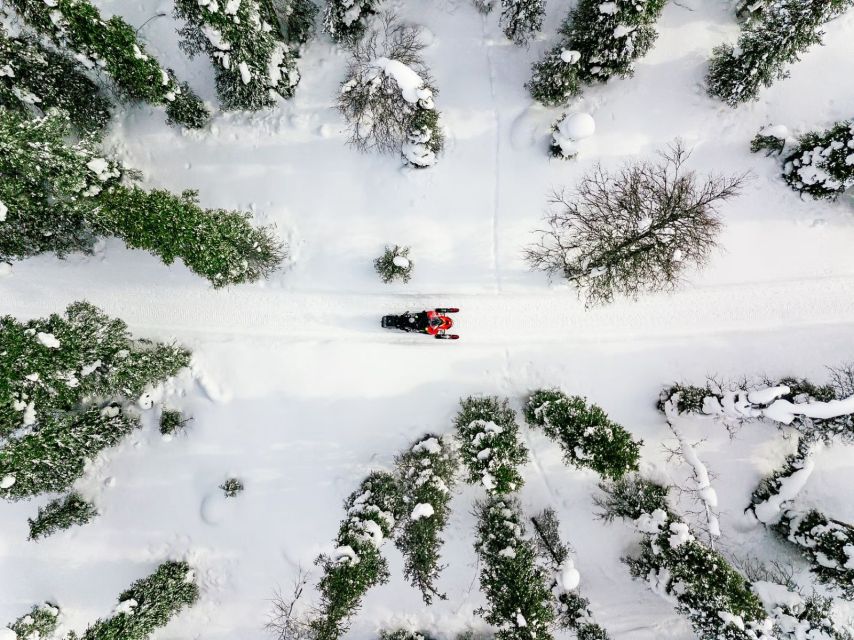 Rovaniemi: Snowmobile Safari Adventure - What the 2.5 Hours Feels Like in the Arctic Forests