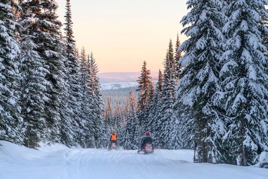 Rovaniemi: Snowmobile Safari Adventure - Price and Value: What You Get for About $93