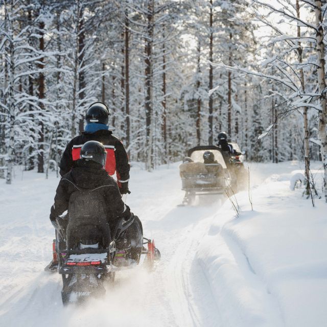 Rovaniemi: Snowmobile Safari in the Arctic Circle - The 2-hour snowmobile safari: Arctic Circle departure and Lapland forest views