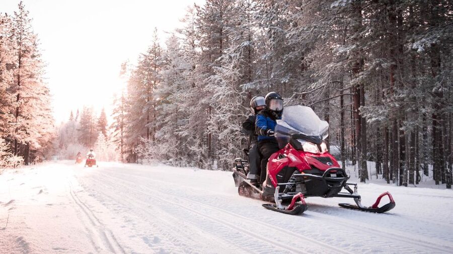 Rovaniemi: Snowmobile Safari into the Arctic Circle Forest - Key points to know before you go
