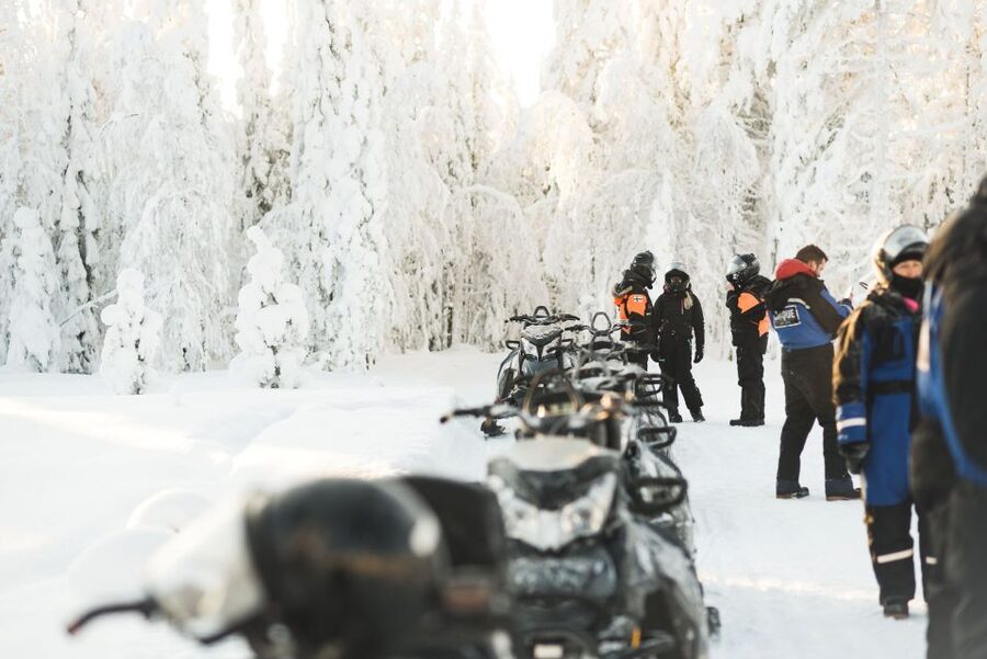 Rovaniemi: Snowmobile Safari into the Arctic Circle Forest - Pregnant riders, alcohol rules, and other eligibility realities
