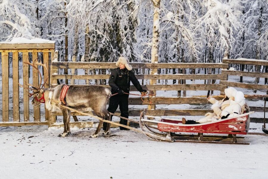 Rovaniemi: Snowmobile Safari, Reindeer & Husky Sleigh Ride - Practical Checklist Before You Go