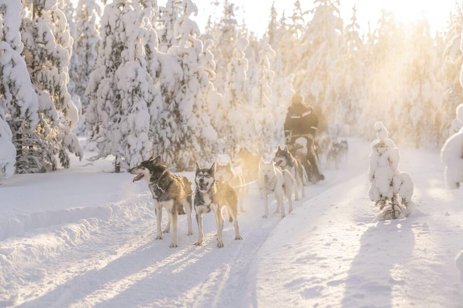 Rovaniemi: Snowmobile Safari, Reindeer & Husky Sleigh Ride - From Pick-Up to Polar Gear: Getting Ready in Rovaniemi
