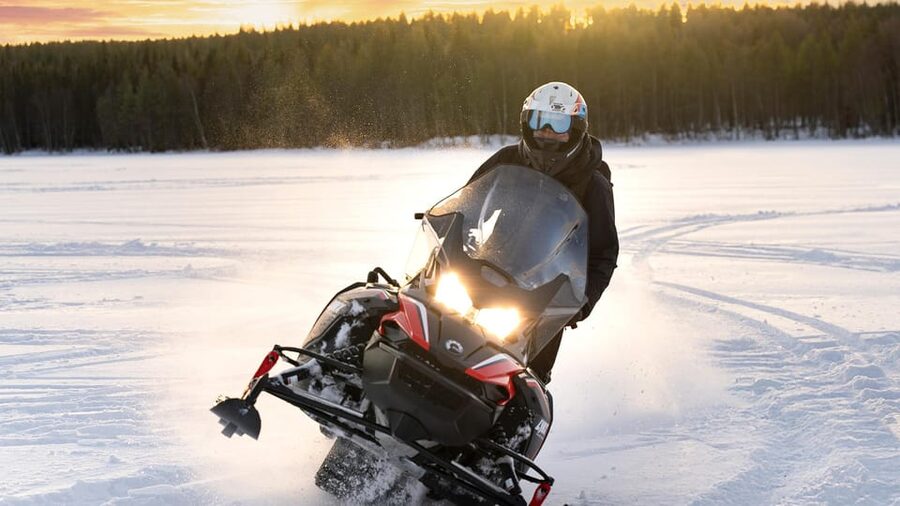 Rovaniemi: Snowmobile Safari, Reindeer & Husky Sleigh Ride - The Reindeer Driving Certificate: A Little Lapland Trophy