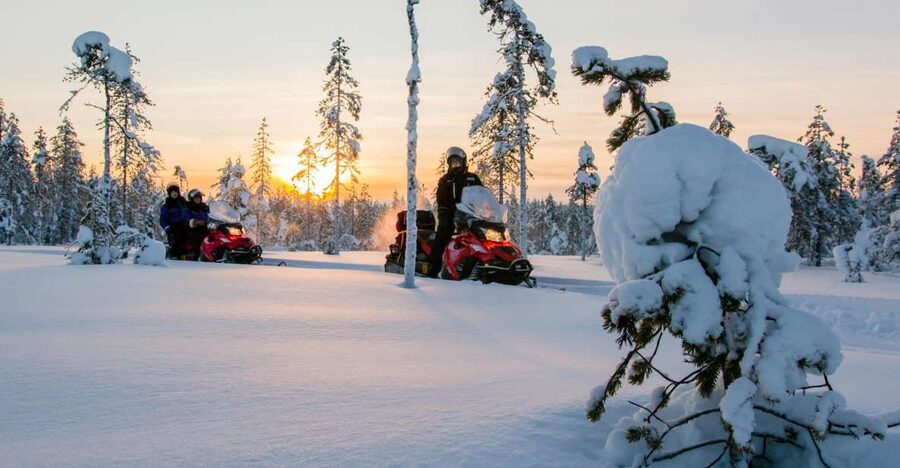 Rovaniemi: Snowmobile Safari to a Reindeer Farm - Key Points If You Want The Best Part