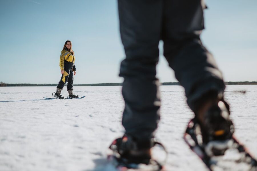 Rovaniemi: Snowshoe Walk to The Arctic Nature - Arctic Nature Facts You’ll Want to Repeat Later