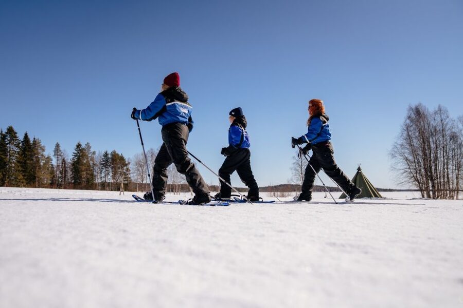 Rovaniemi: Snowshoe Walk to The Arctic Nature - The Bottom Line: Should You Book It