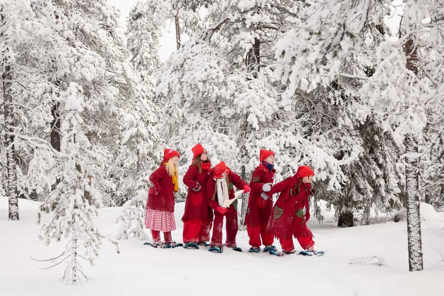 Rovaniemi: Snowshoe walk with Santa's cheerful Elf - Following Santa’s Elves into Rovaniemi’s Arctic forest