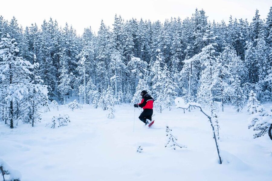 Rovaniemi: Snowshoe Wilderness Adventure with Photos & BBQ - Key moments you’ll remember