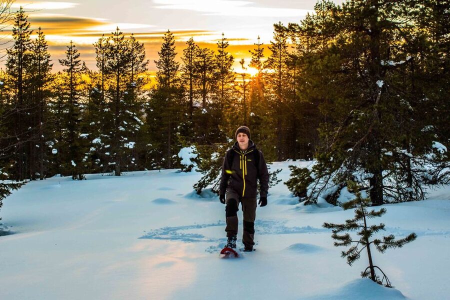 Rovaniemi: Snowshoe Wilderness Adventure with Photos & BBQ - Who This Tour Suits Best (And Who Might Feel Strained)
