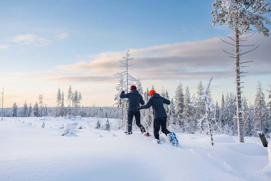 Rovaniemi: Snowshoe Wilderness Adventure with Photos & BBQ - From Rovaniemi to the Quiet Woods in One Minivan Ride
