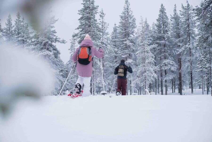 Rovaniemi: Snowshoe Wilderness Adventure with Photos & BBQ - What the Experience Feels Like: Remote Quiet, Not a Theme Park