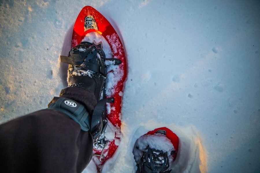 Rovaniemi: Snowshoe Wilderness Adventure with Photos & BBQ - Price and Value: Is Around $80 Fair for 3 Hours?