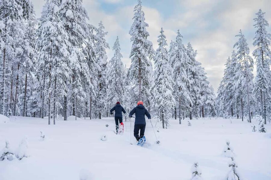 Rovaniemi: Snowshoe Wilderness Adventure with Photos & BBQ - Gear, Clothing, and Staying Comfortable Without Overthinking