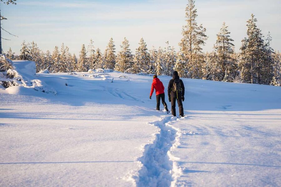 Rovaniemi: Snowshoe Wilderness Adventure with Photos & BBQ - Weather, Wildlife, and What You Should Not Count On