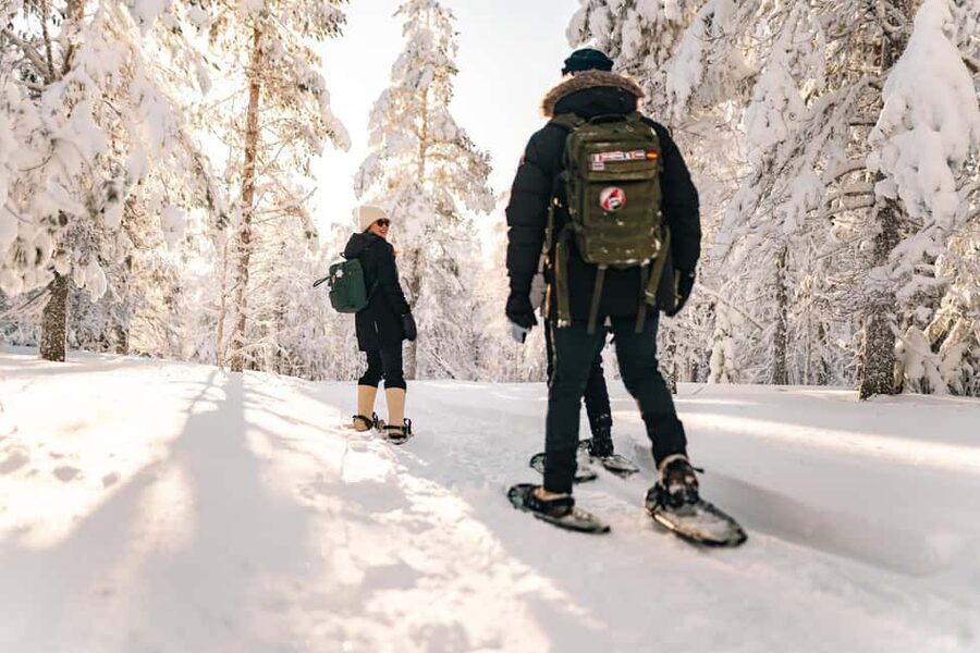 Rovaniemi: Snowshoeing in the Arctic Wilderness - Key highlights to look for