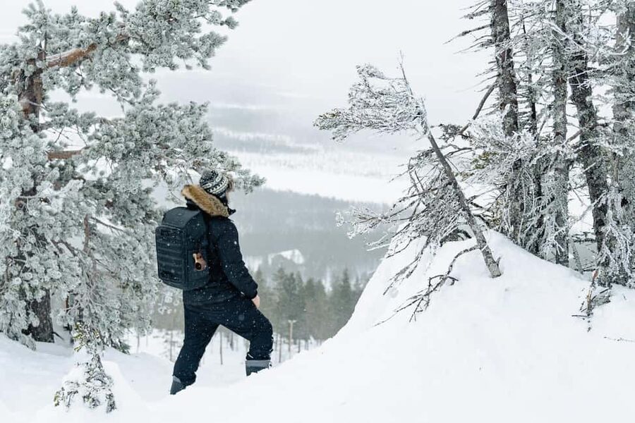 Rovaniemi: Snowshoeing in the Arctic Wilderness - Snowshoeing from Revontuli to the Arctic Quiet