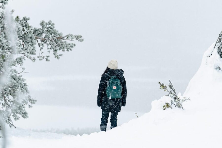 Rovaniemi: Snowshoeing in the Arctic Wilderness - Price, value, and the optional photo add-on