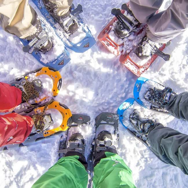 Rovaniemi: Snowshoeing Tour with Wild Lunch and Hotel Pickup - Key things to know before you go