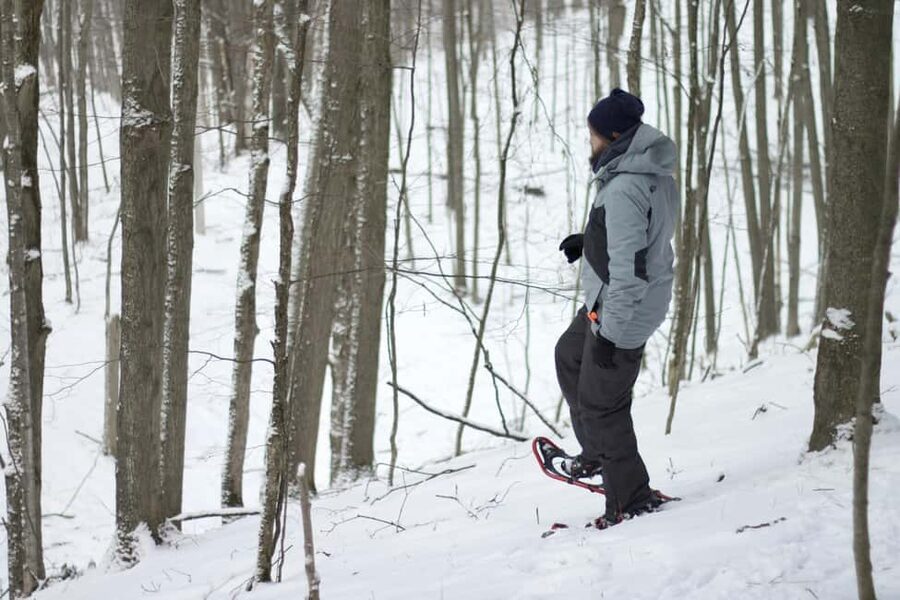 Rovaniemi: Snowshoeing Tour with Wild Lunch and Hotel Pickup - Snowshoeing just outside Rovaniemi, with real wilderness time