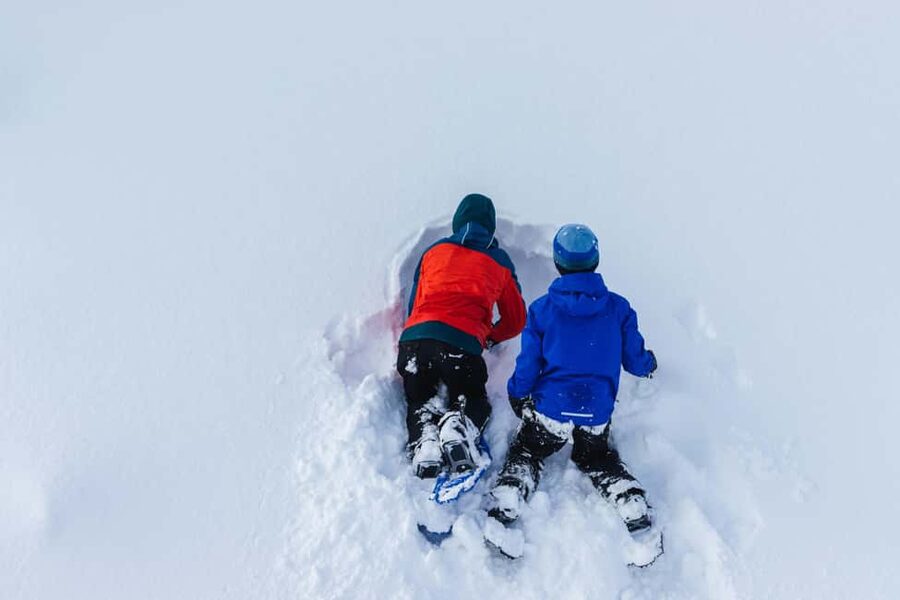 Rovaniemi: Snowshoeing Tour with Wild Lunch and Hotel Pickup - The forest walk: guided, but not forced