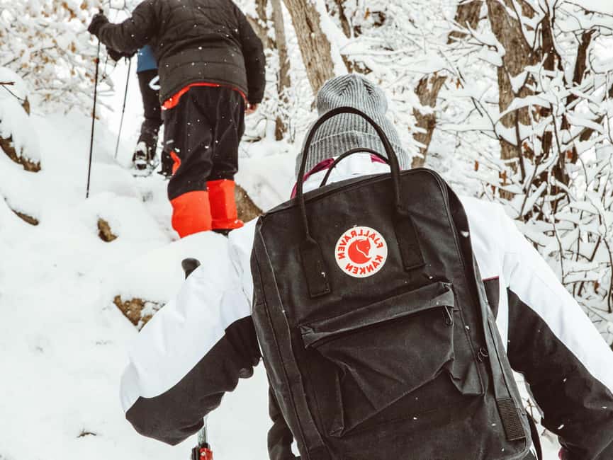 Rovaniemi: Snowshoeing Tour with Wild Lunch and Hotel Pickup - Who should book this snowshoe and wild lunch tour