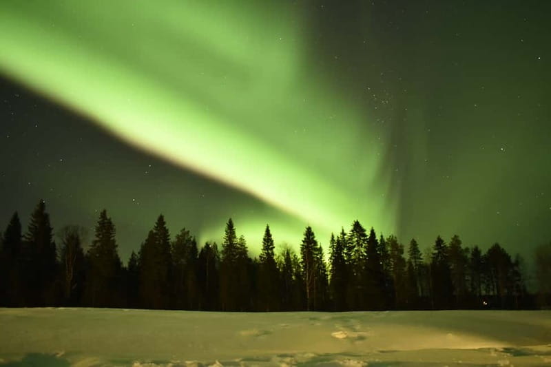 Rovaniemi: Snowtrain to Northern Lights Camp - Key Highlights Worth Your Time