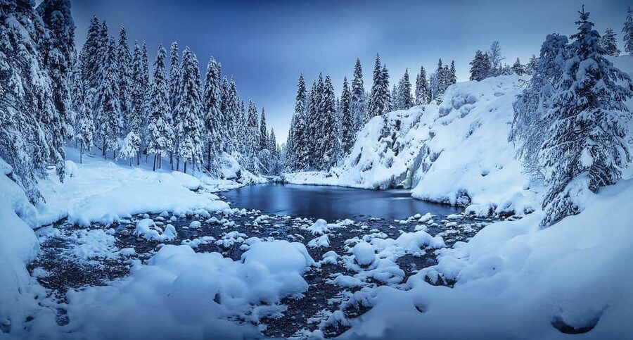Rovaniemi: Snowy Forest Like in the Movies 3 Hour Tour - Key Things I’d Book For
